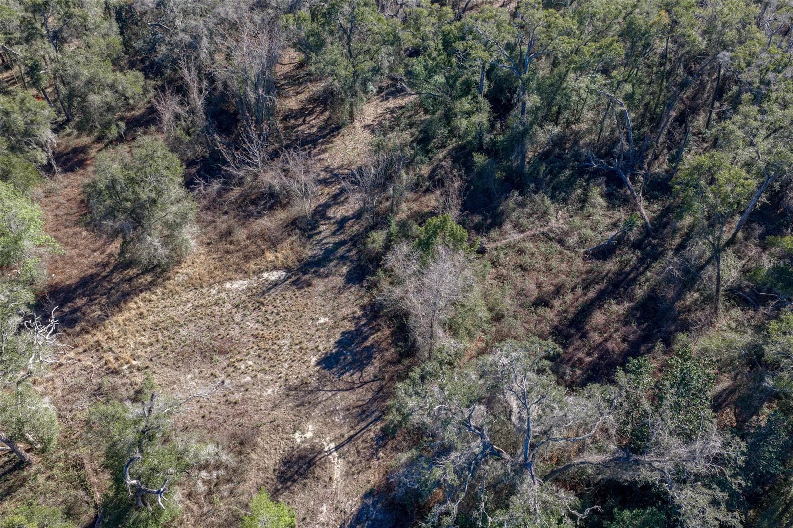 Land at 0 ROWNTREE DR, DADE CITY, photo 14 of 14