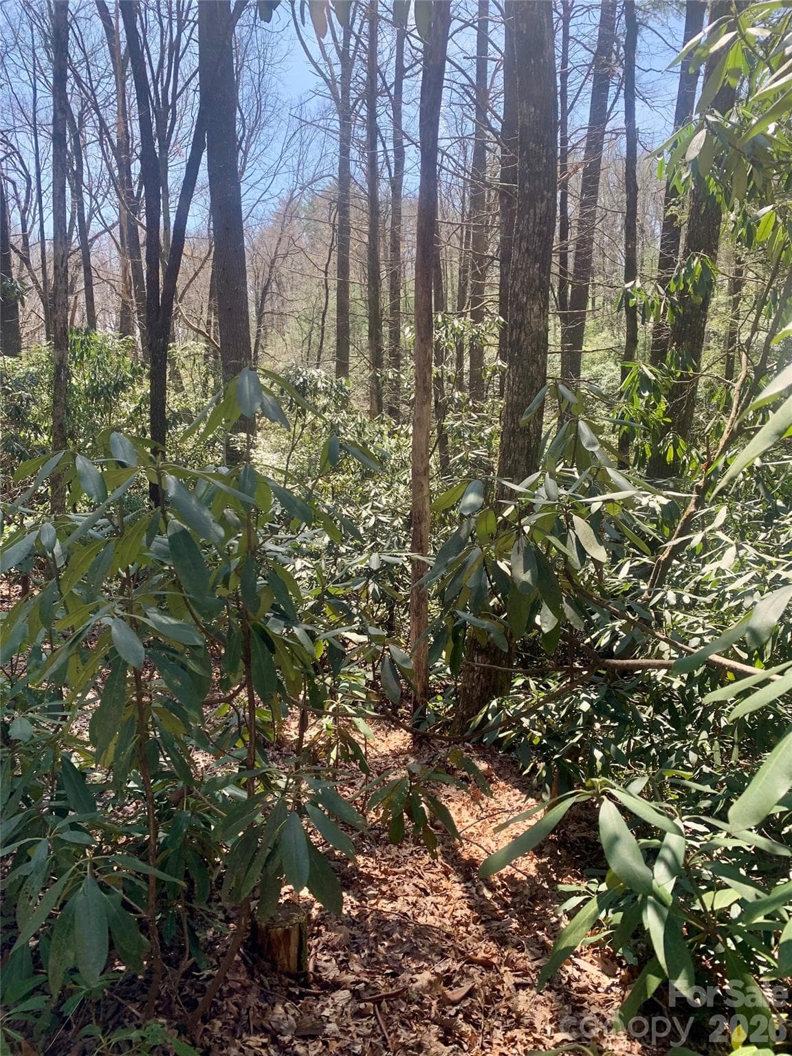 Lot at Lot 20A Indian Lake Road, Lake Toxaway, photo 3 of 11