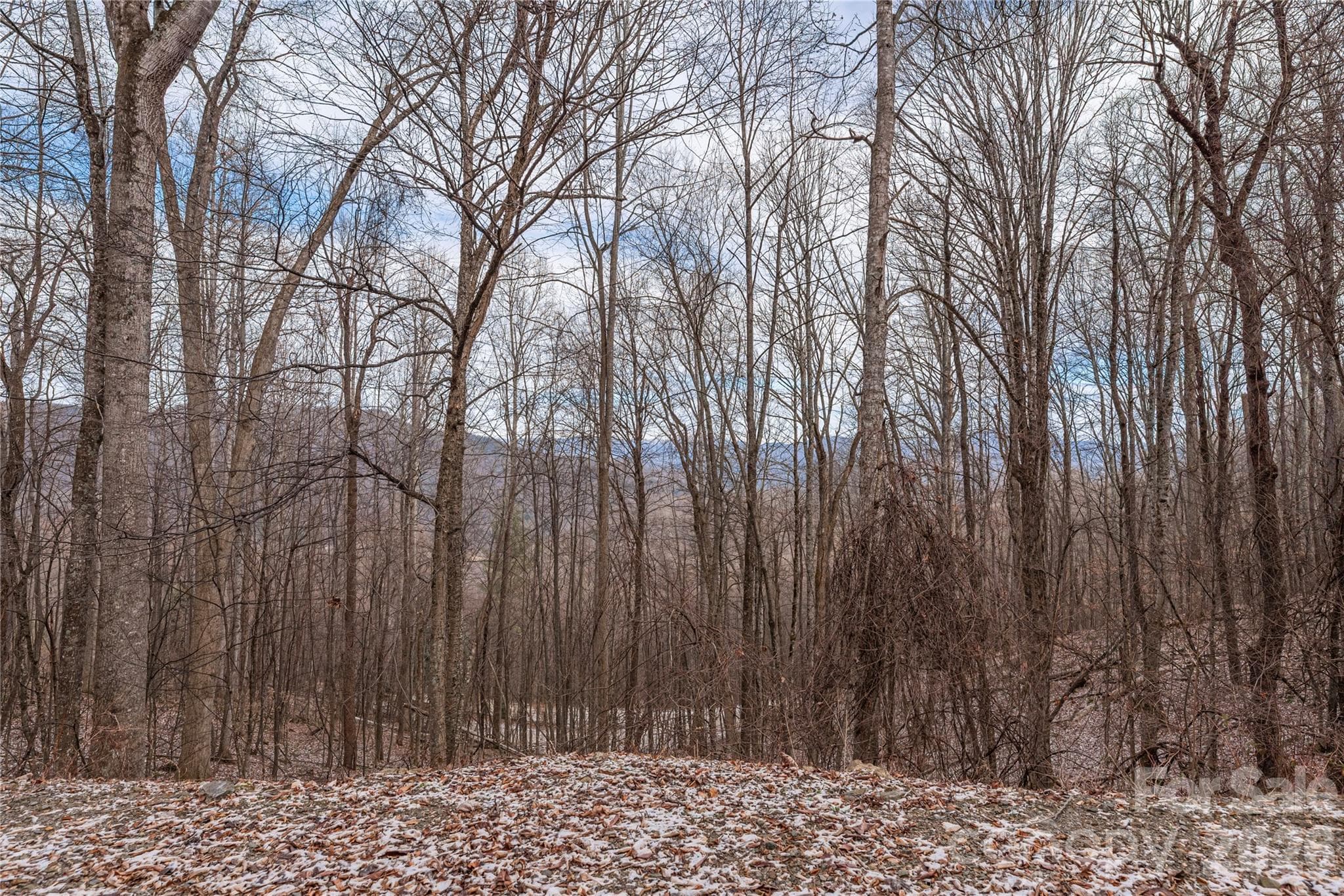Lot at Waynesville, photo 3 of 20