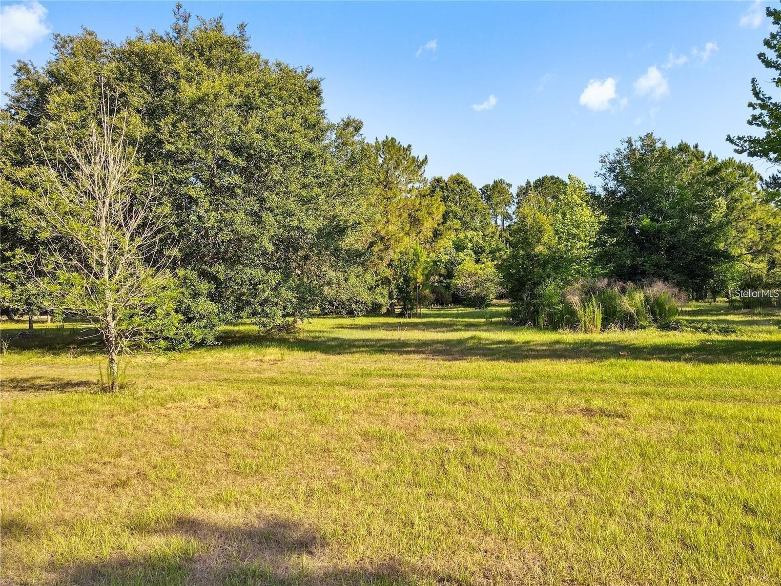 Manufactured Home at 13921 PINE MEADOW RD, KATHLEEN, photo 24 of 26