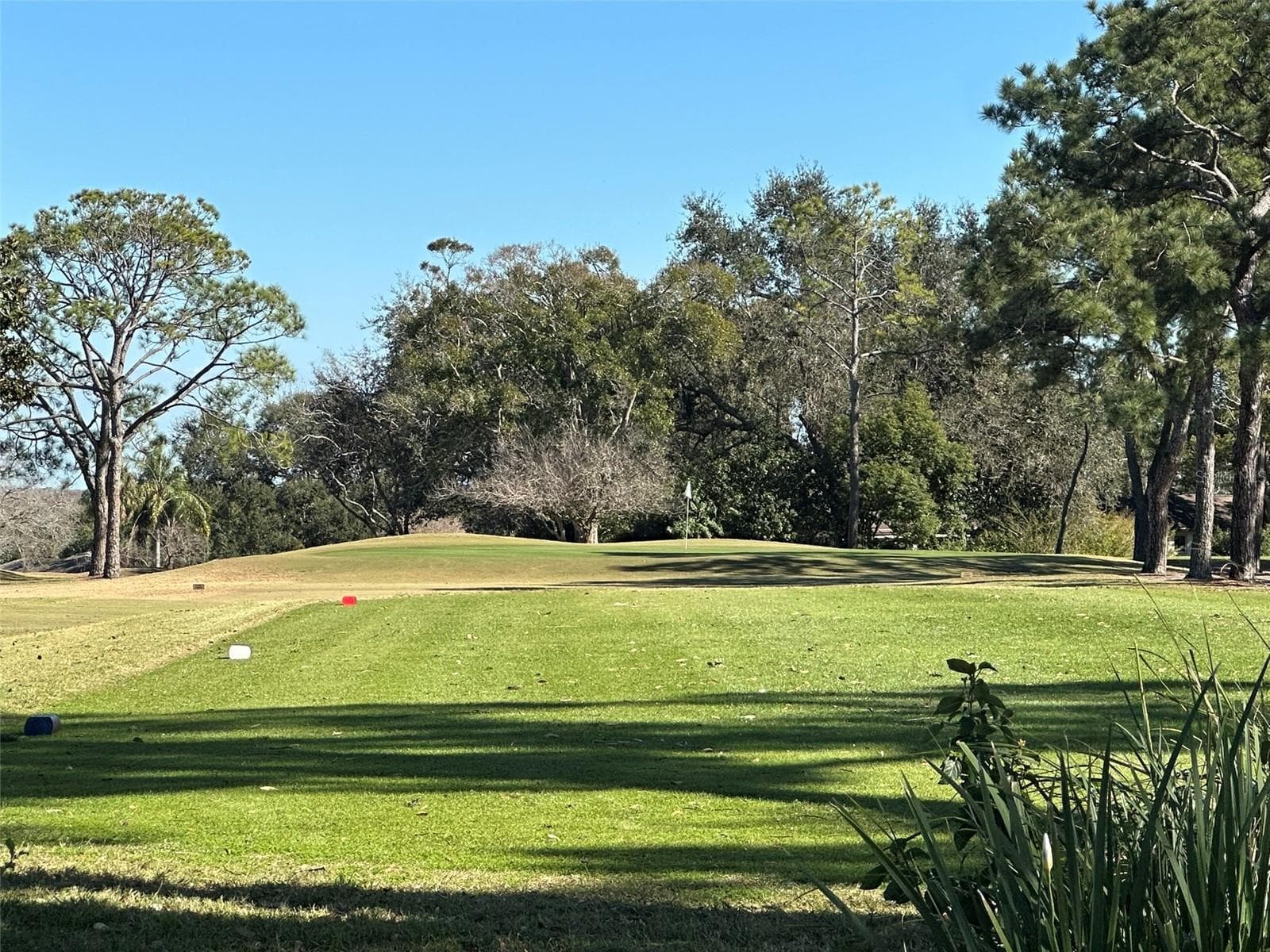 Golf INCLUDED - 3569 OAK LAKE DR, PALM HARBOR