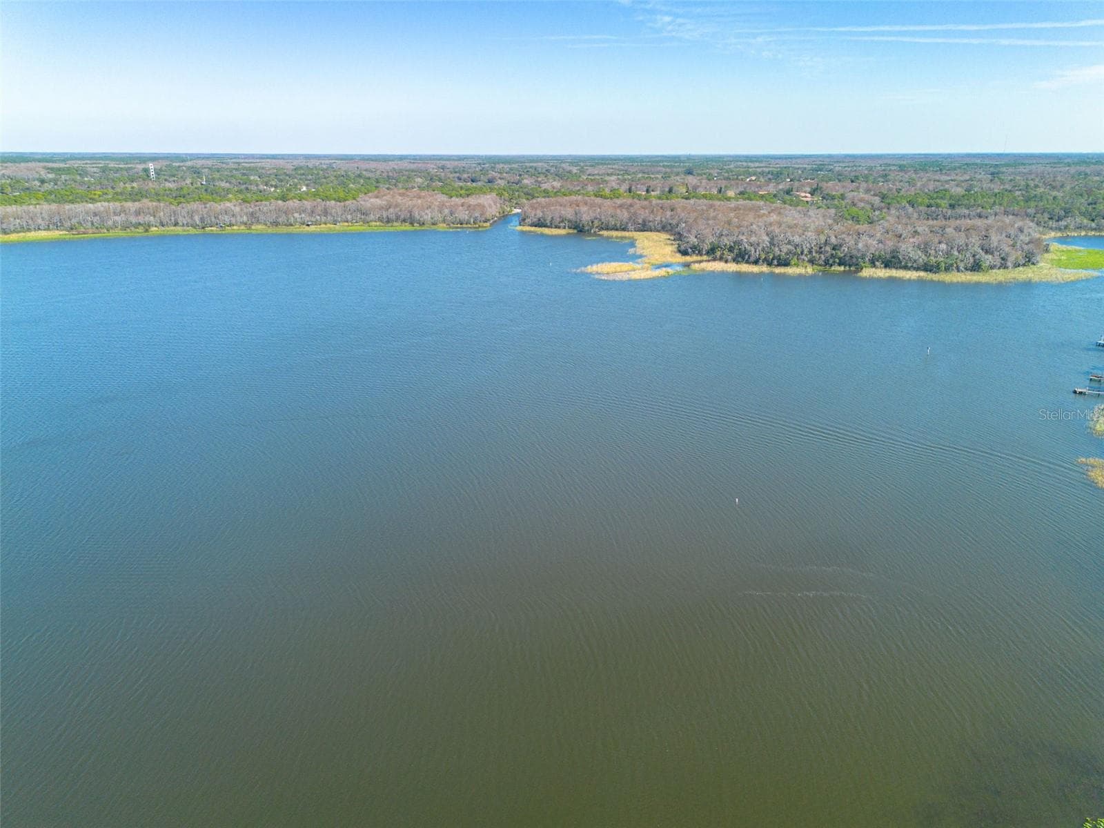 Single Family Residence at 3569 OAK LAKE DR, PALM HARBOR, photo 39 of 42