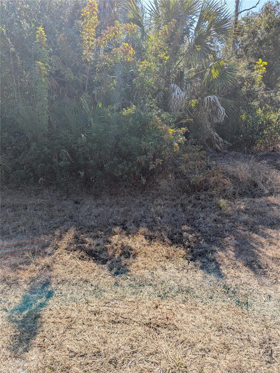 Land at Lots 1,2&3 DE LEON DR, NORTH PORT, photo 3 of 16