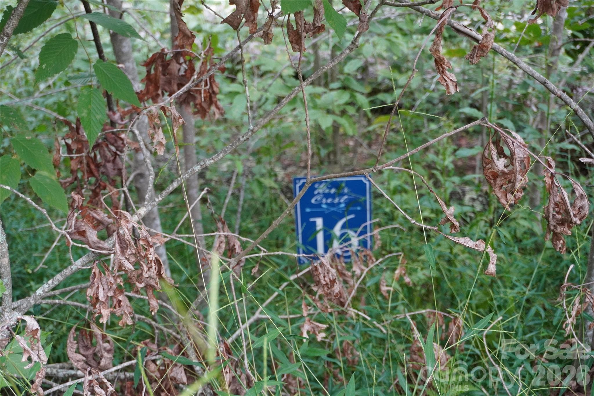 Lot 16 - 1.95 acres - Burnsville