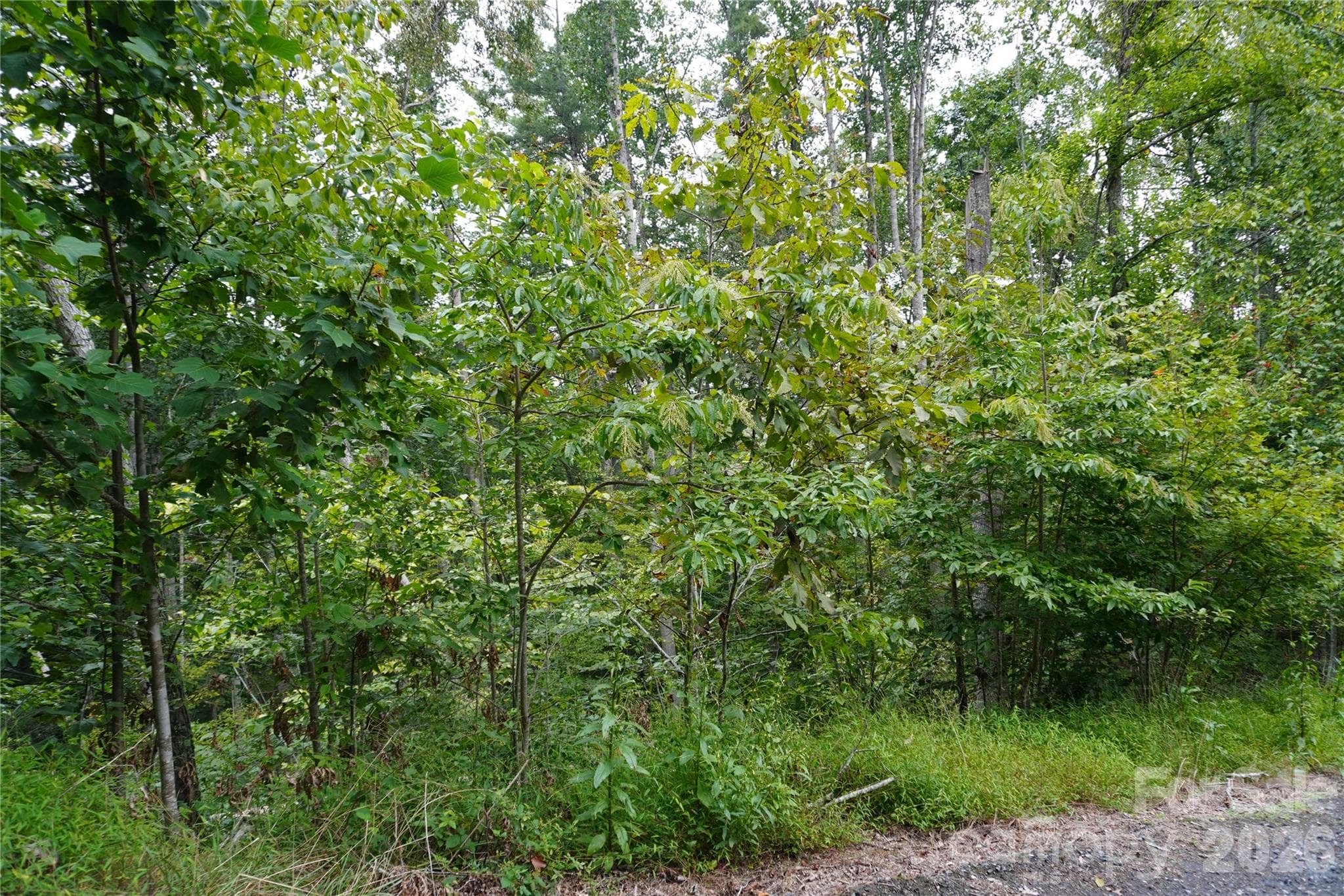 Lot at Burnsville, photo 8 of 13