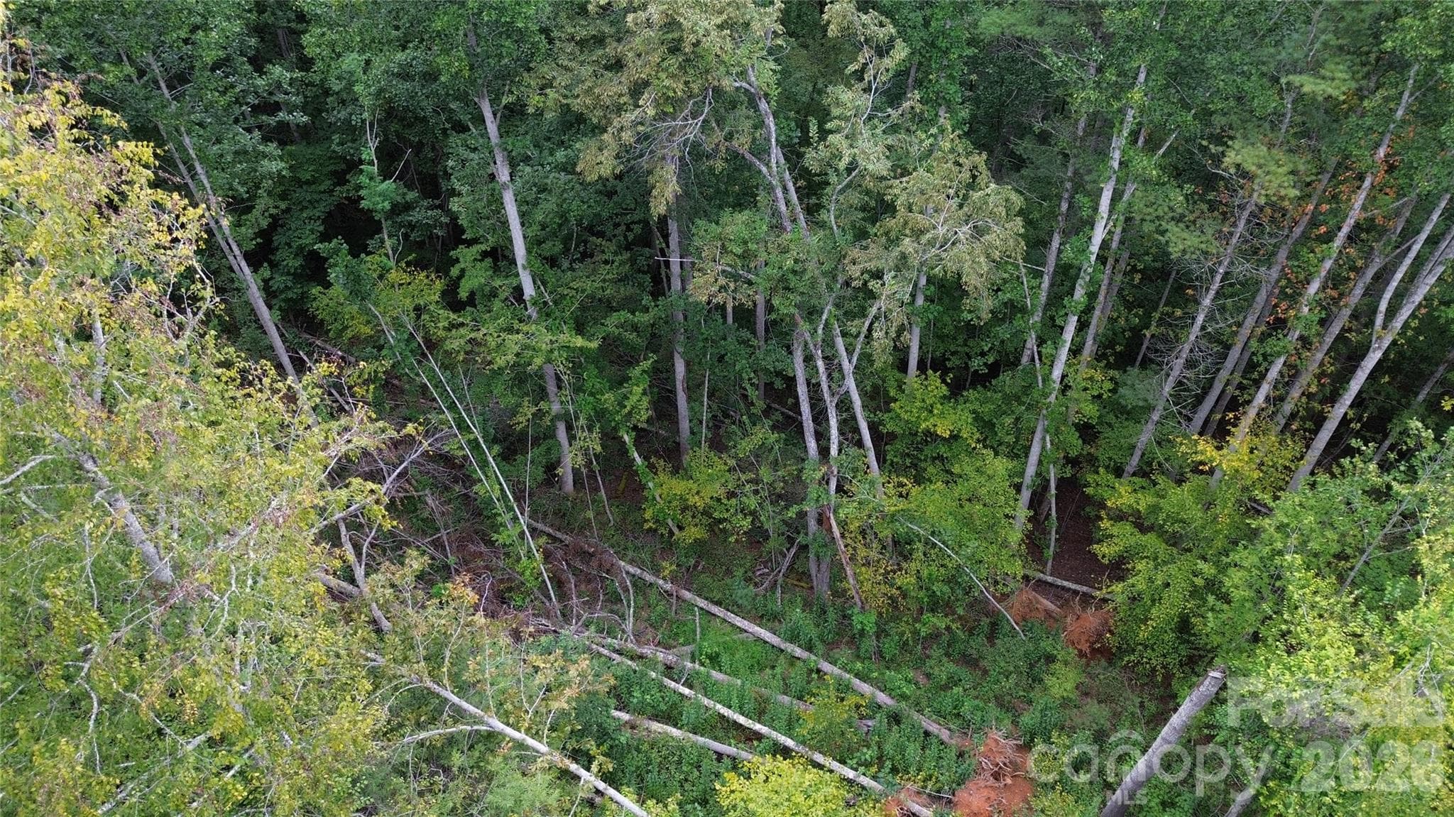 Lot at Burnsville, photo 9 of 13