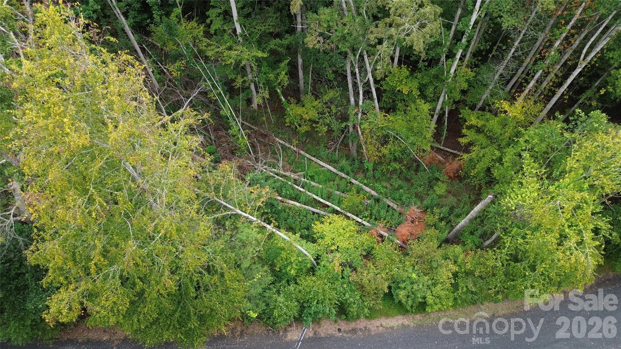 Lot at Burnsville, photo 10 of 13