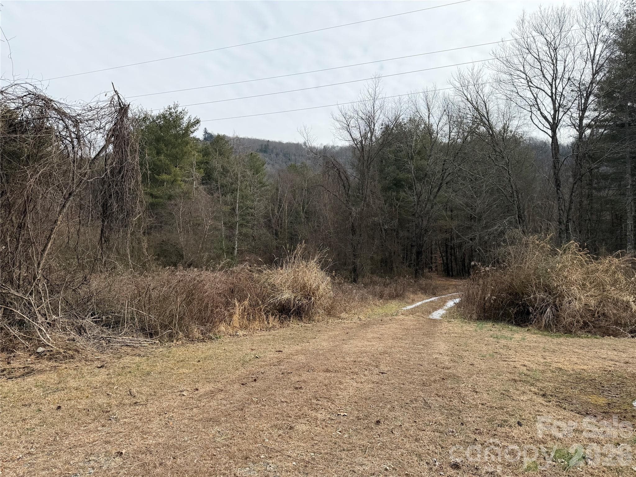 Driveway into the property. - 000 Valley Green Drive, Penrose