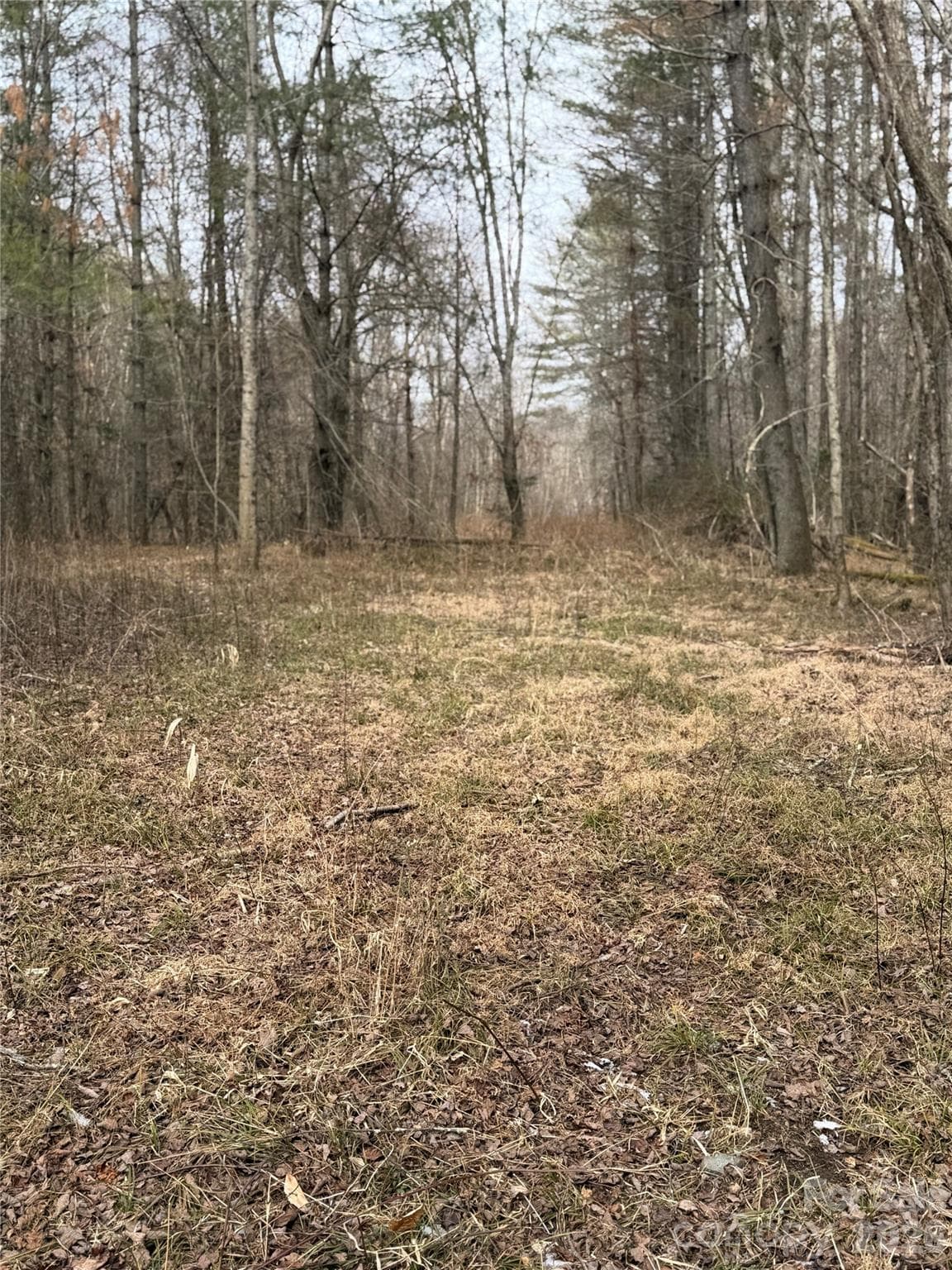 Acreage at 000 Valley Green Drive, Penrose, photo 13 of 27