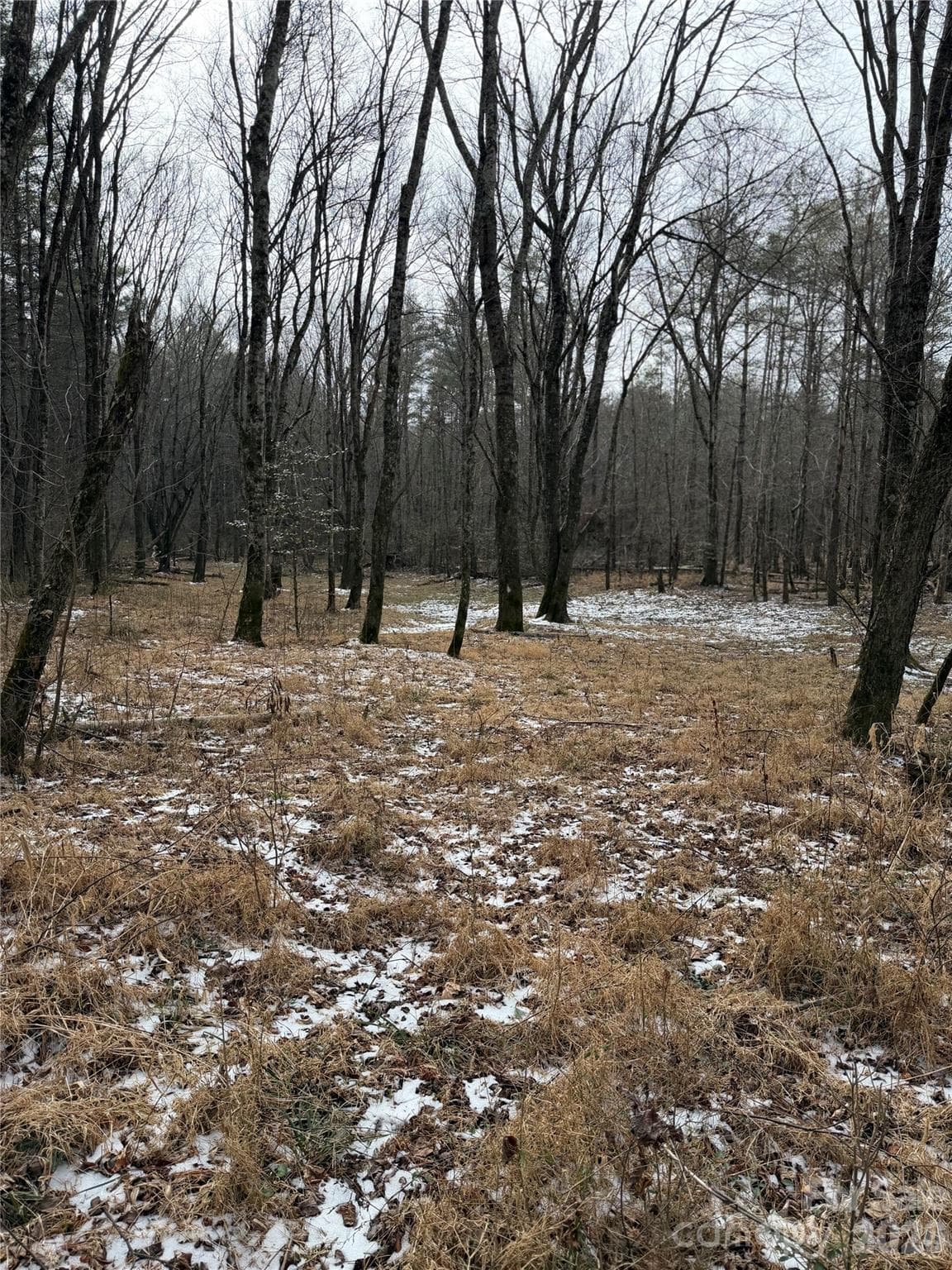Acreage at 000 Valley Green Drive, Penrose, photo 15 of 27