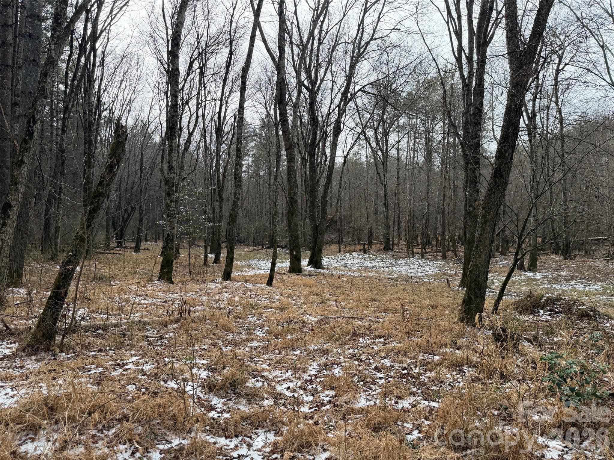 Acreage at 000 Valley Green Drive, Penrose, photo 17 of 27