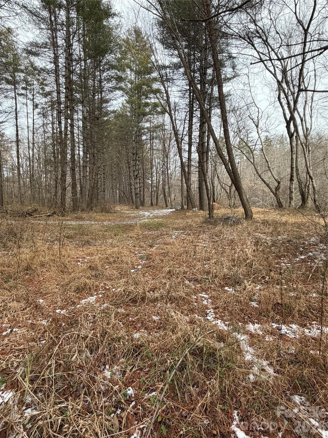 Acreage at 000 Valley Green Drive, Penrose, photo 25 of 27