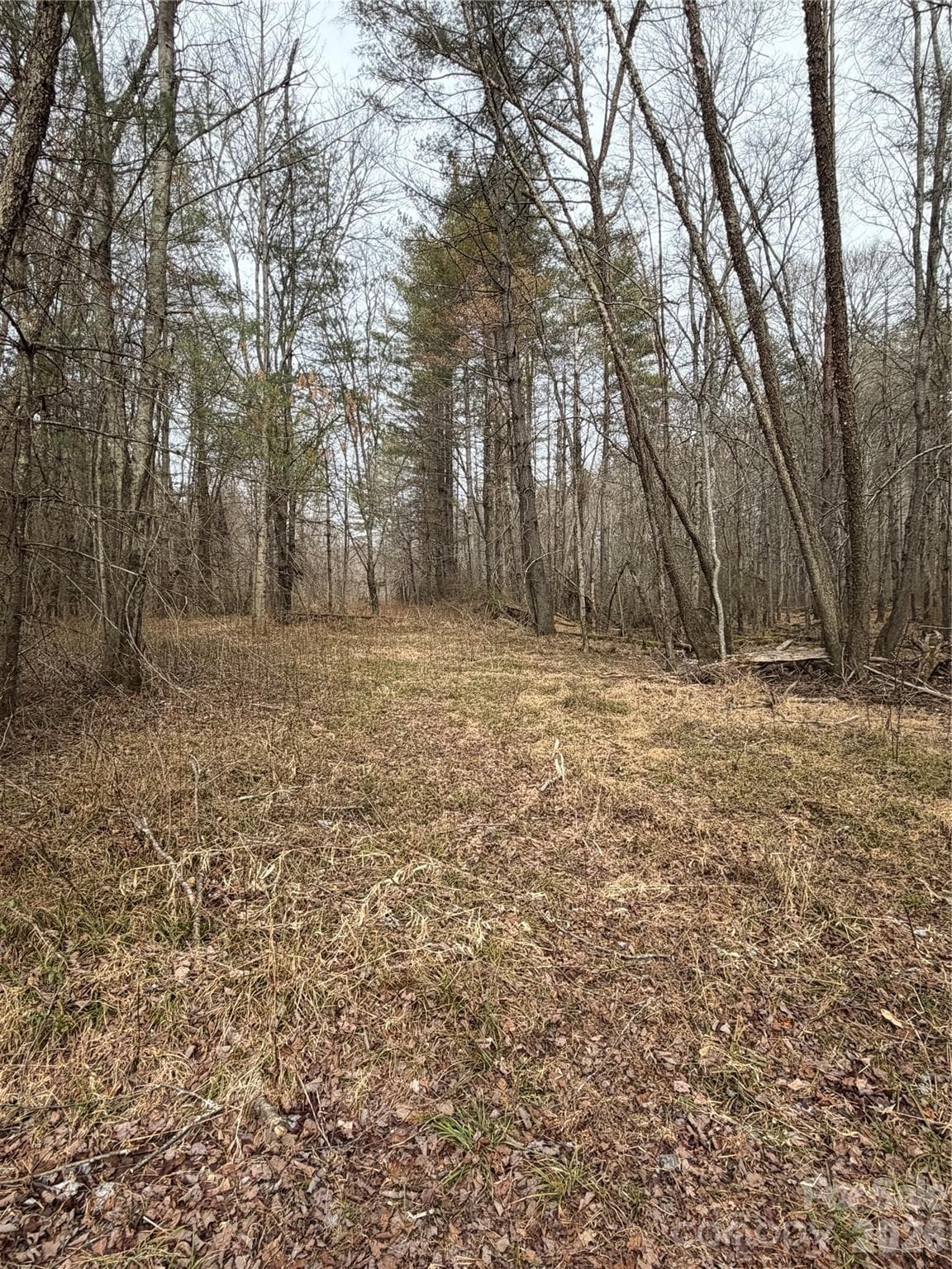 Acreage at 000 Valley Green Drive, Penrose, photo 27 of 27