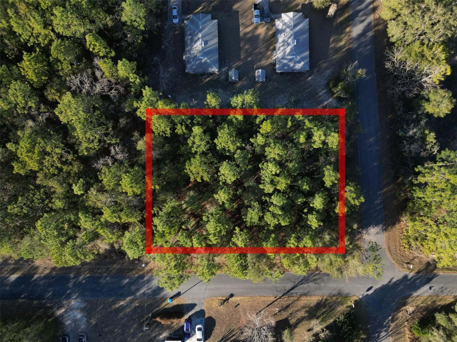 Land at 3153 E MAY ST, INVERNESS, photo 3 of 5