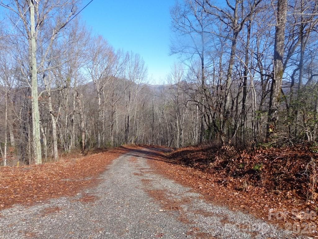 Lot 20 Vail Pass Road