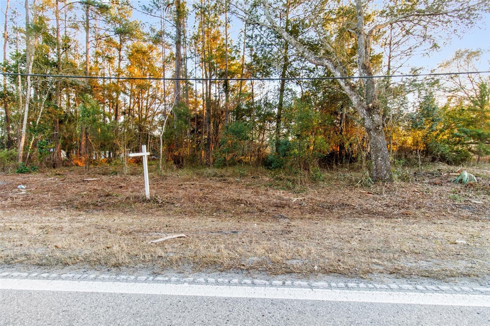 Land at POWELL RD, BROOKSVILLE, photo 3 of 15