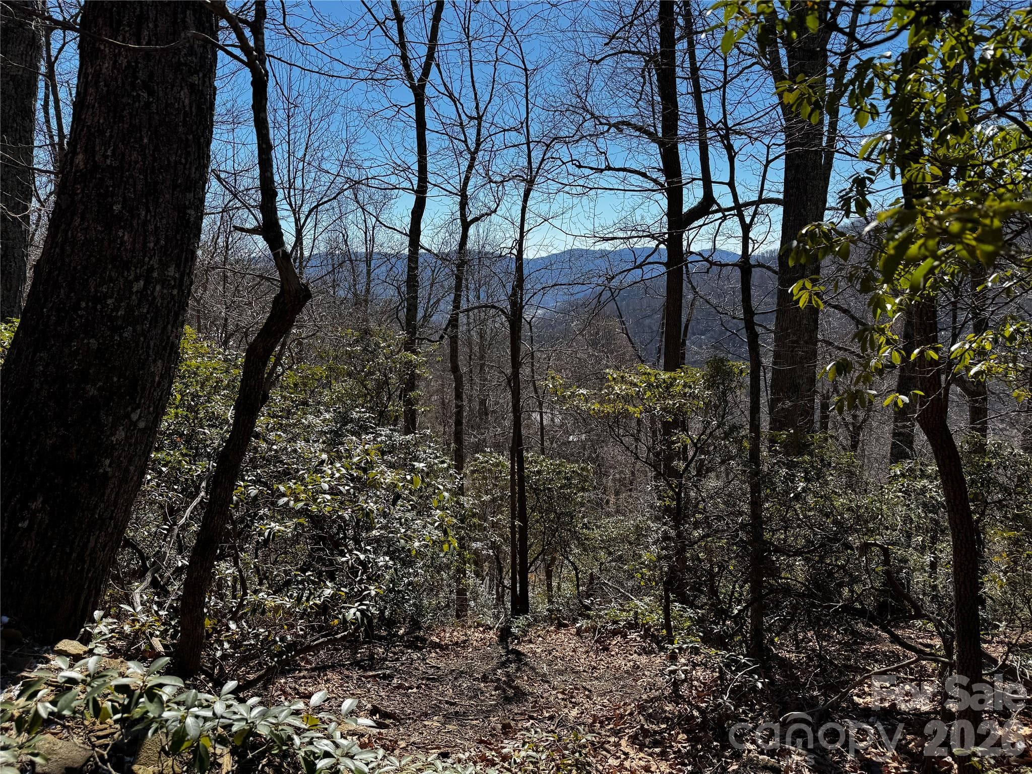 Lot at Black Mountain, photo 7 of 20