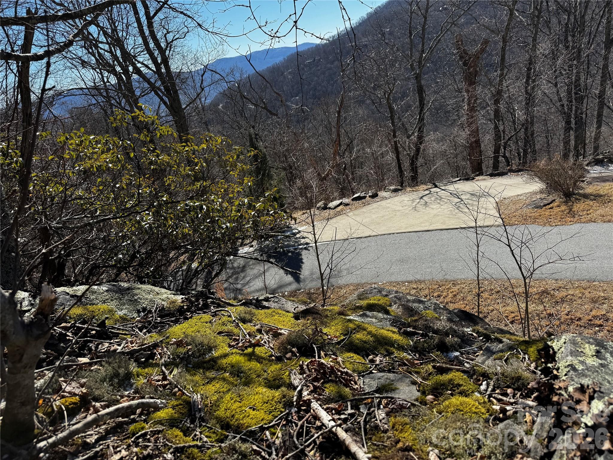 Lot at Black Mountain, photo 16 of 20