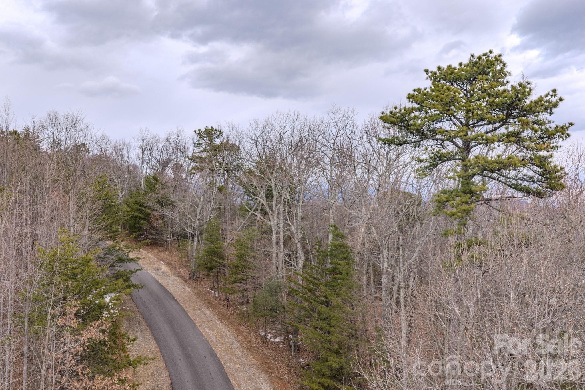 Lot at 2724 Mountain Crest Drive S, Marion, photo 3 of 38