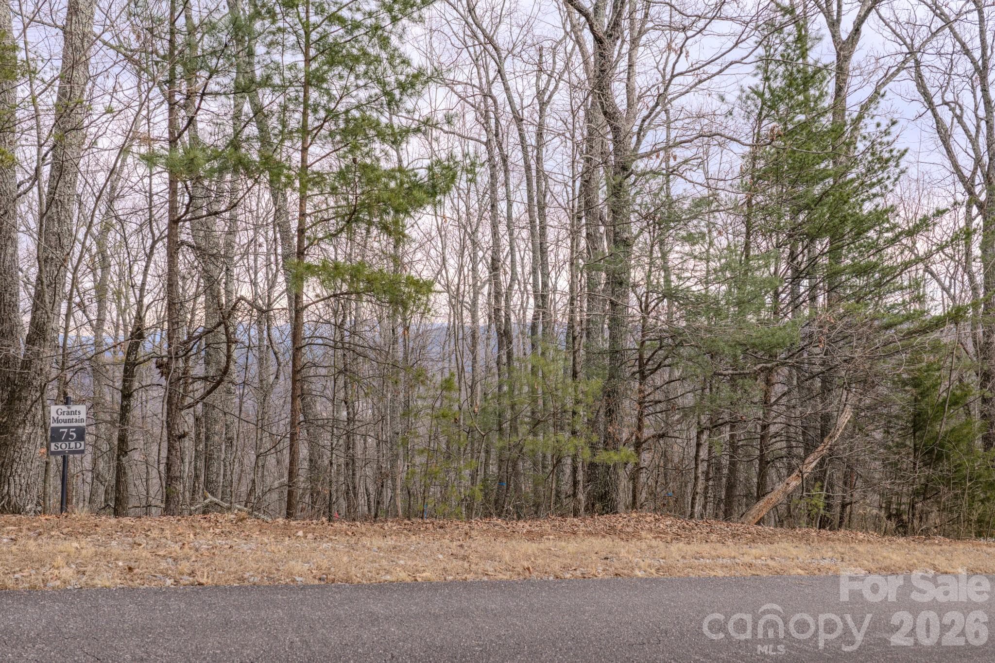 Lot at 2724 Mountain Crest Drive S, Marion, photo 23 of 38