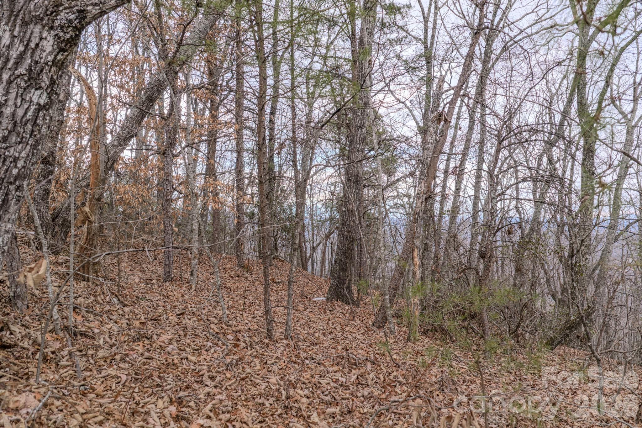 Lot at 2724 Mountain Crest Drive S, Marion, photo 30 of 38