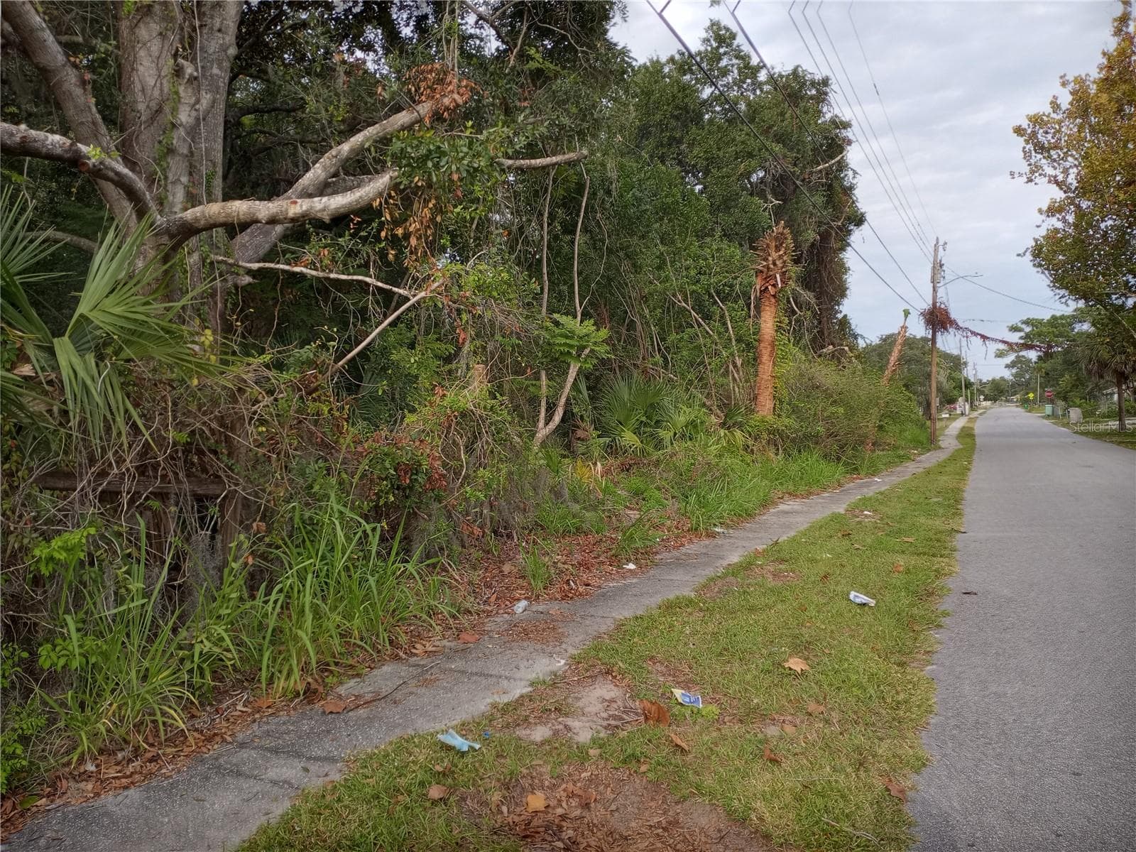 CARVER ST