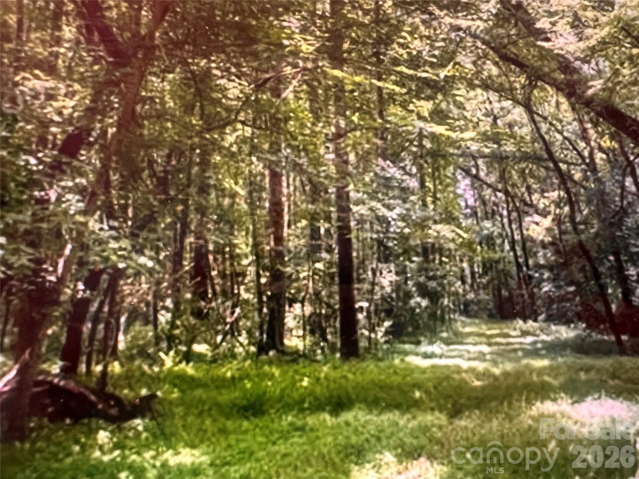 Beautifully wooded property - 14300 Lawyers Road, Mint Hill