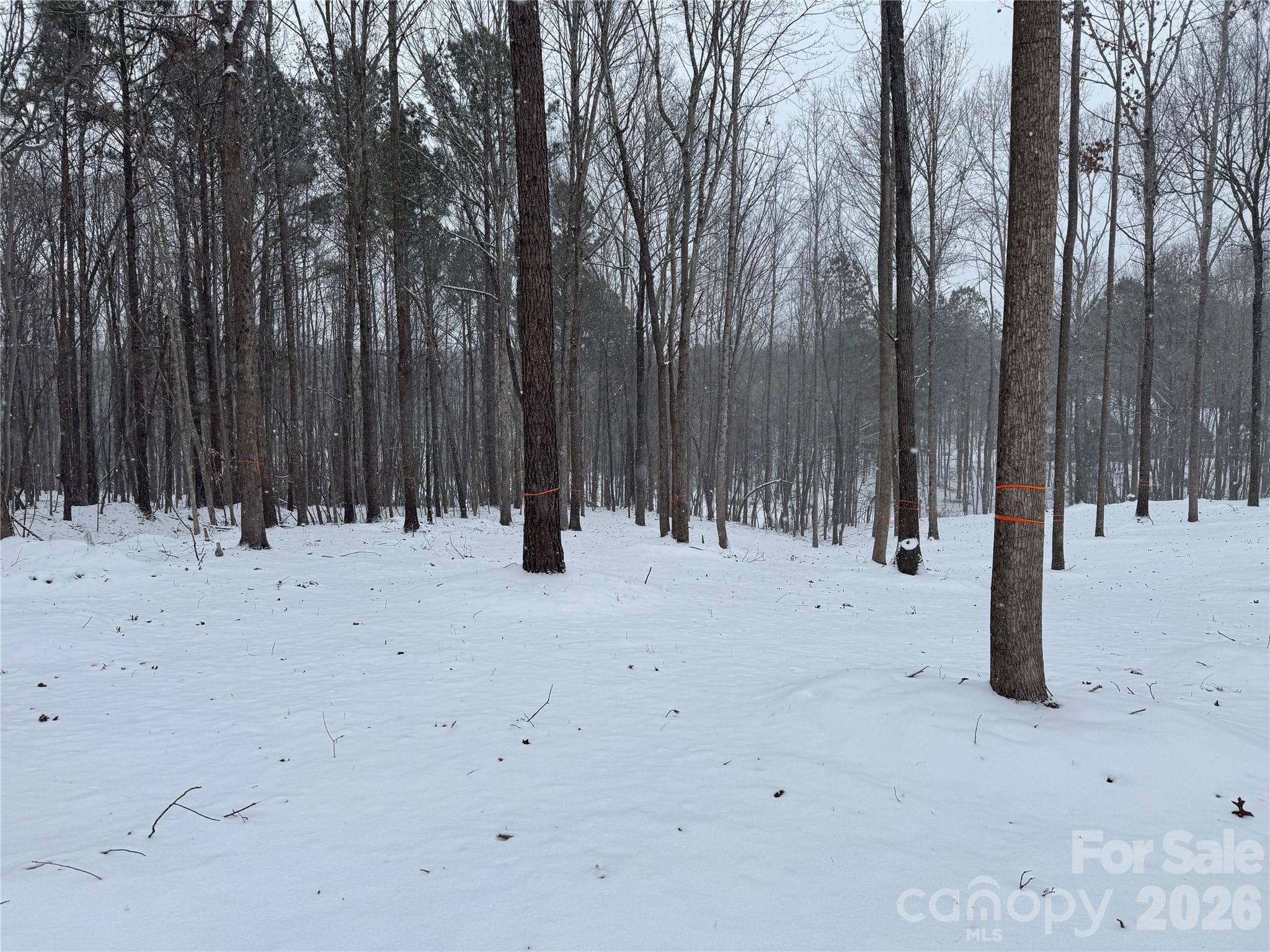 Green View Winter 8.96 acres wooded with 6-12" caliper trees - Waxhaw