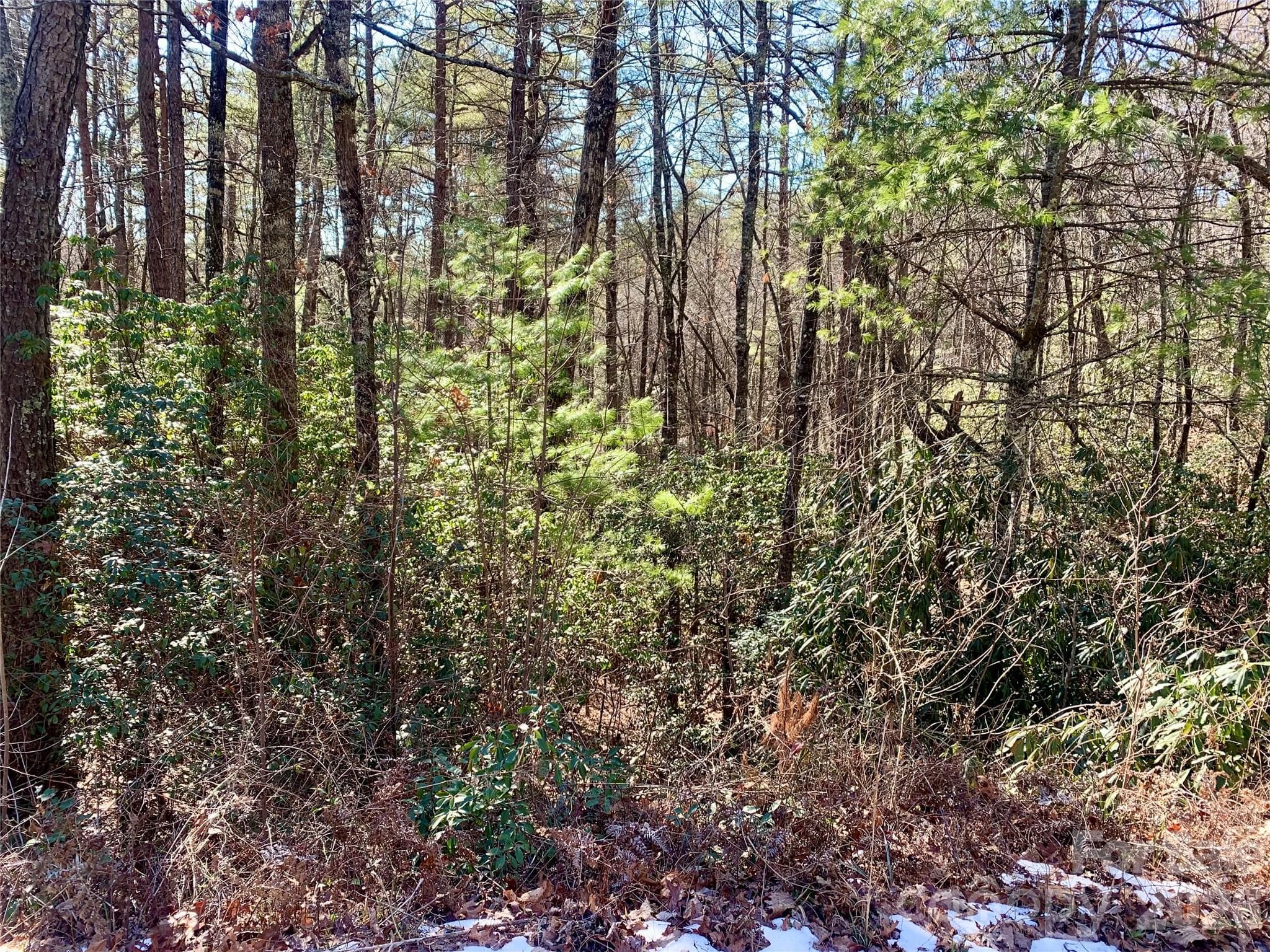 Lot at Brevard, photo 3 of 7
