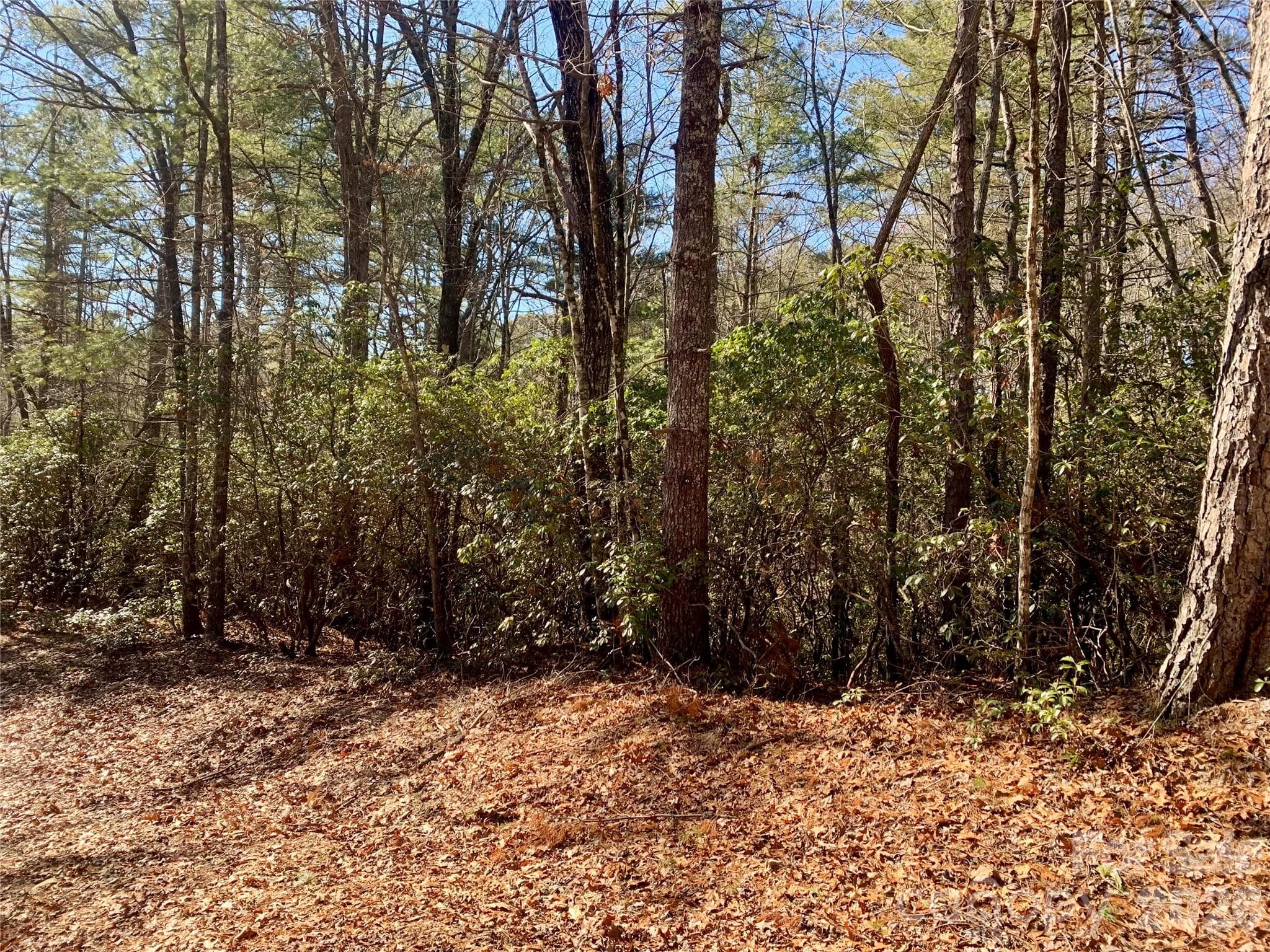 Lot at Brevard, photo 4 of 7
