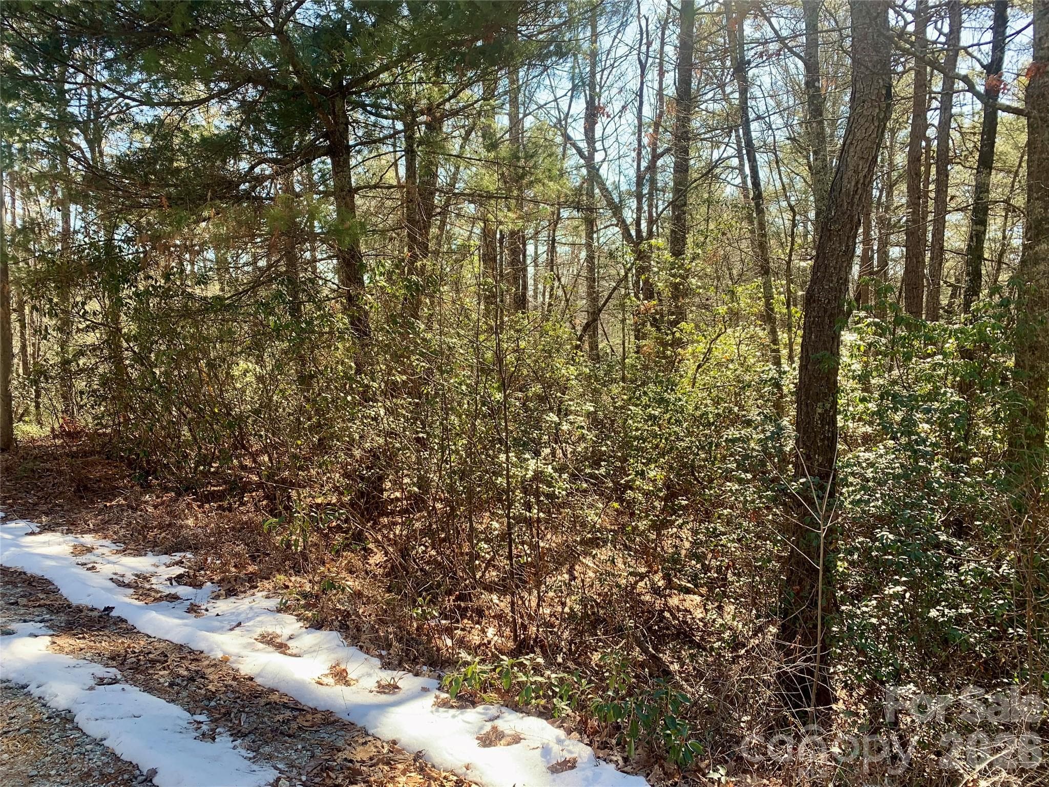 Lot at Brevard, photo 5 of 7