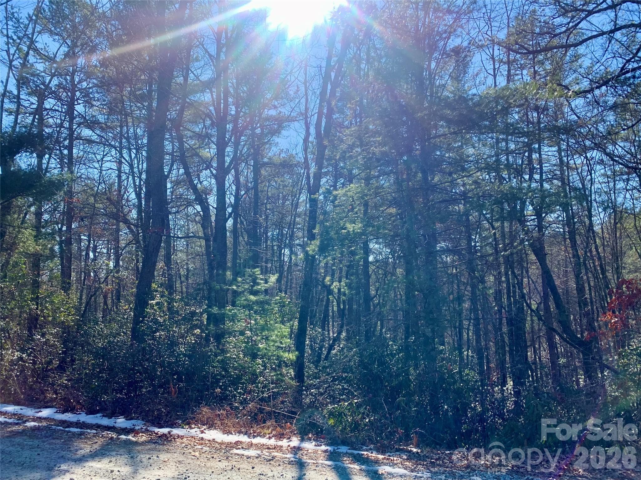 Lot at Brevard, photo 6 of 7