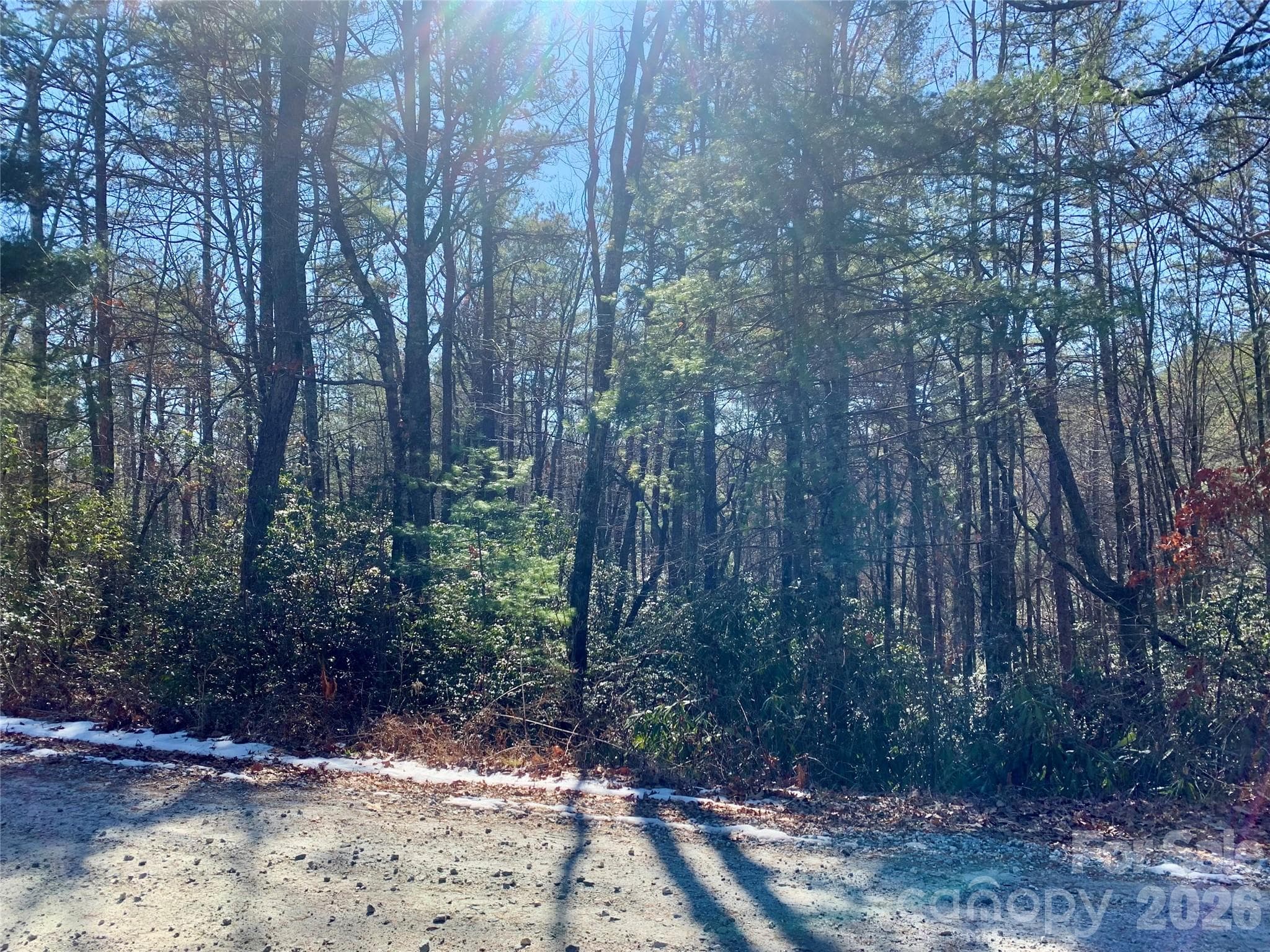 Lot at Brevard, photo 7 of 7