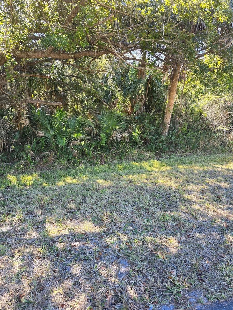 Land at Lots 1,2&3 DE LEON DR, NORTH PORT, photo 10 of 16