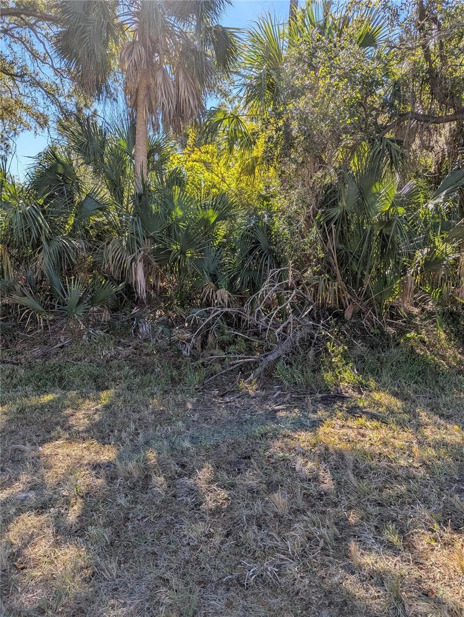 Land at Lots 1,2&3 DE LEON DR, NORTH PORT, photo 11 of 16