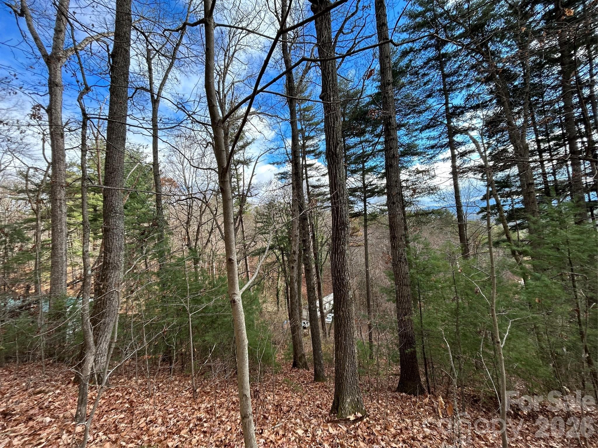 Acreage at Asheville, photo 2 of 4