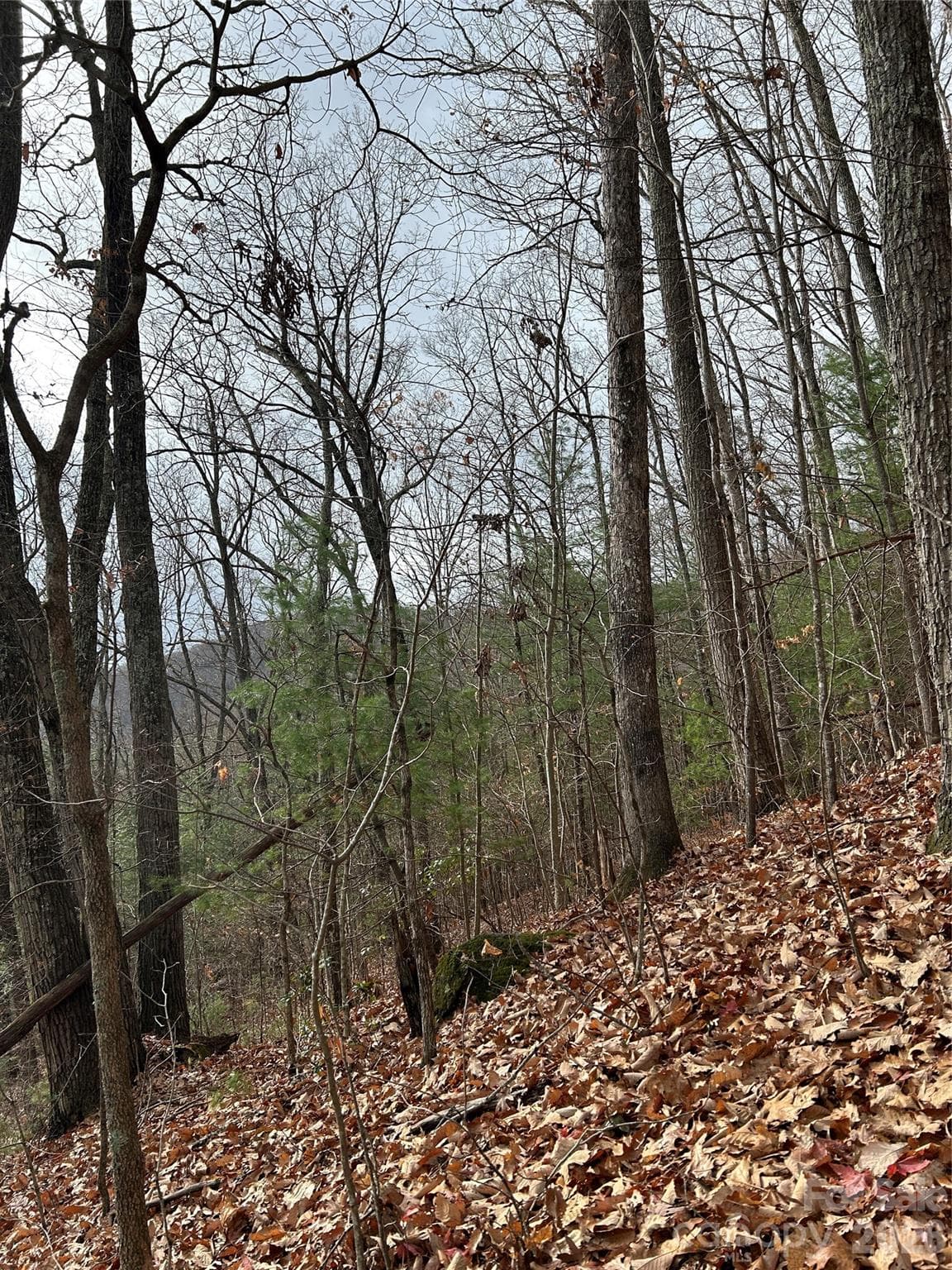 Acreage at Asheville, photo 3 of 4