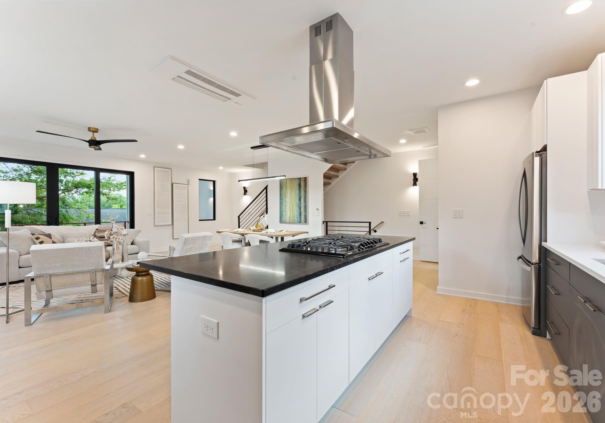 Walk-in pantry to the left of the fridge. - Charlotte