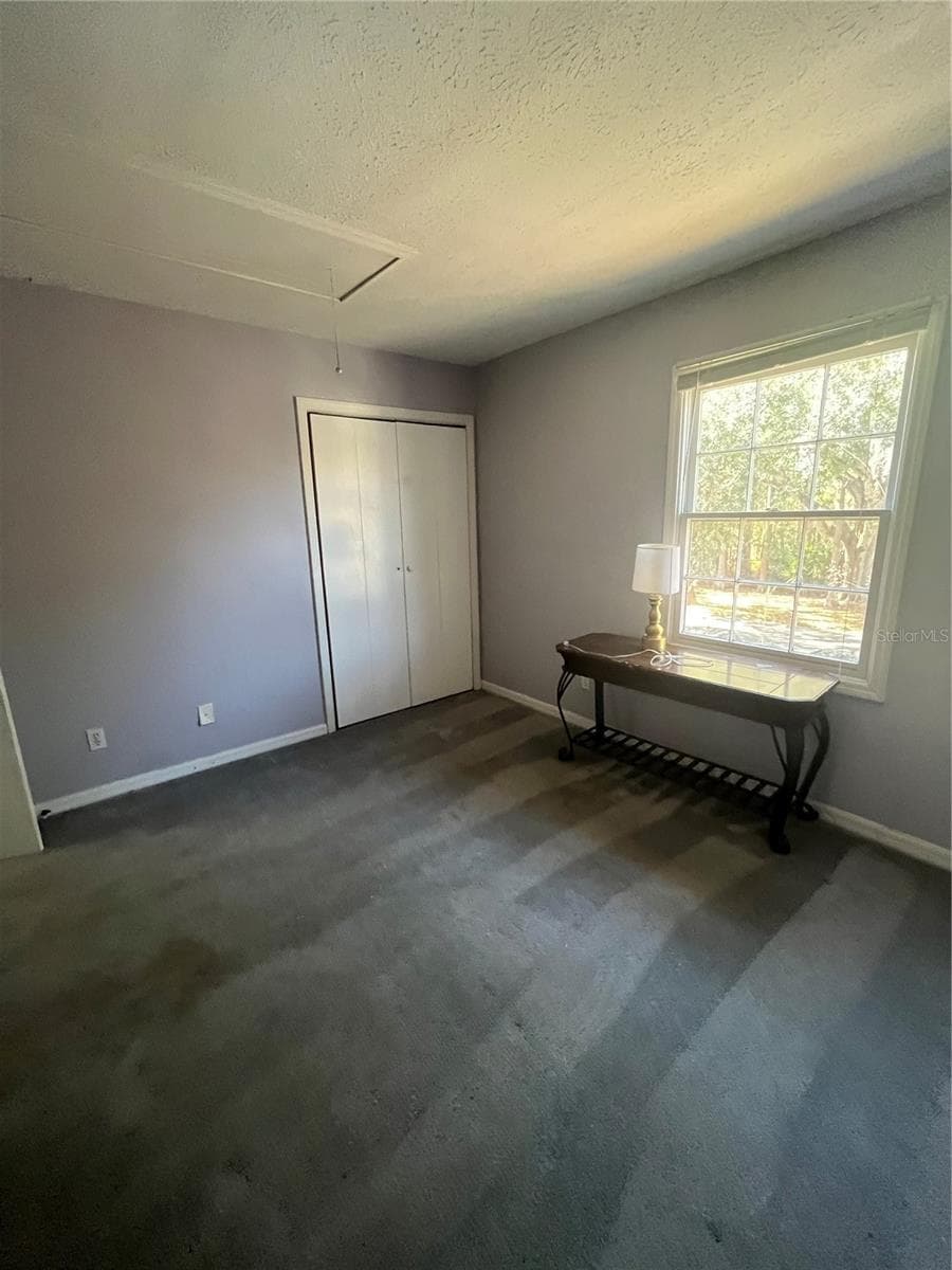 Bedroom 2 - 13709 JUNIPER BLOSSOM DR #0, TAMPA