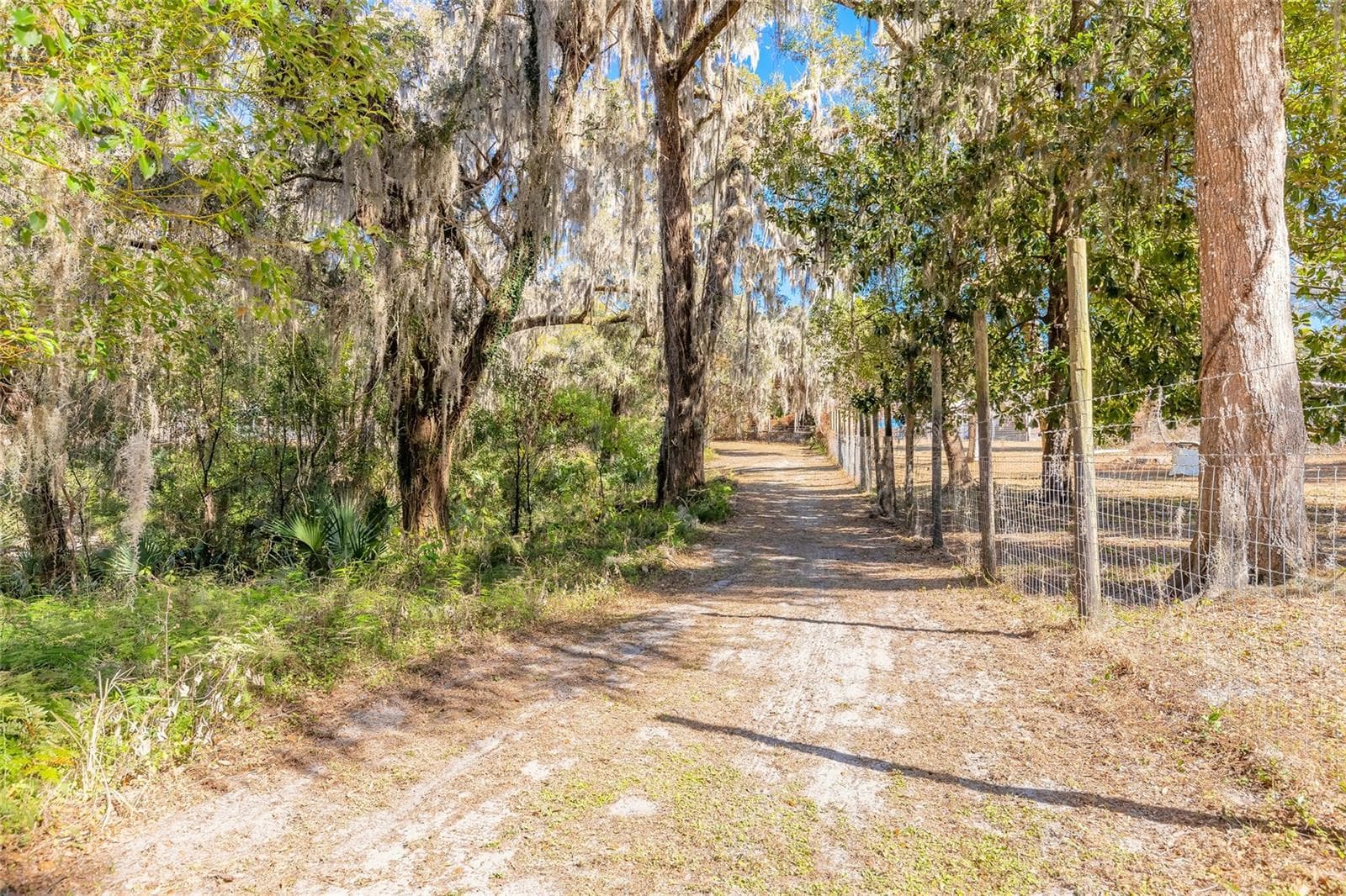 Land at 2095 STONE RD, DELAND, photo 3 of 35