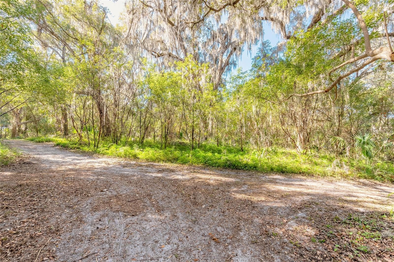 Land at 2095 STONE RD, DELAND, photo 7 of 35