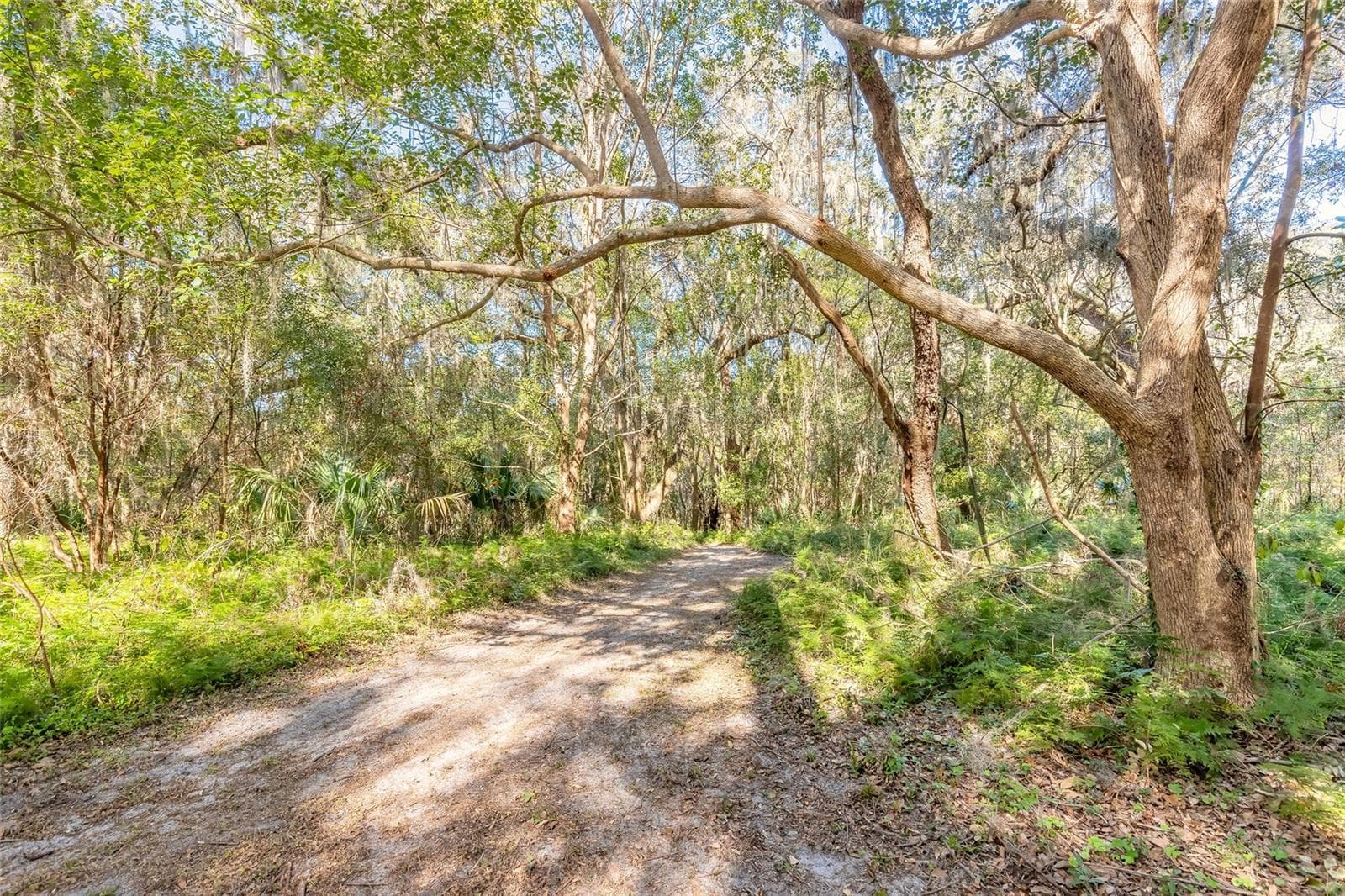 Land at 2095 STONE RD, DELAND, photo 8 of 35