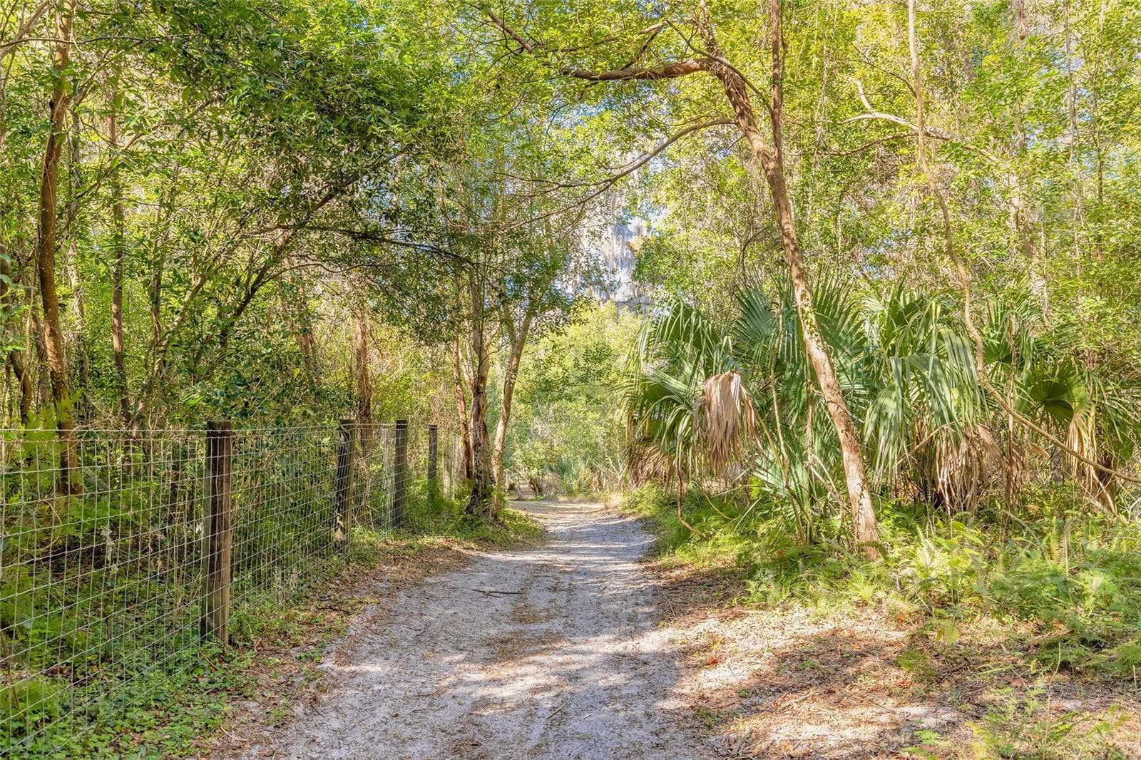 Land at 2095 STONE RD, DELAND, photo 10 of 35