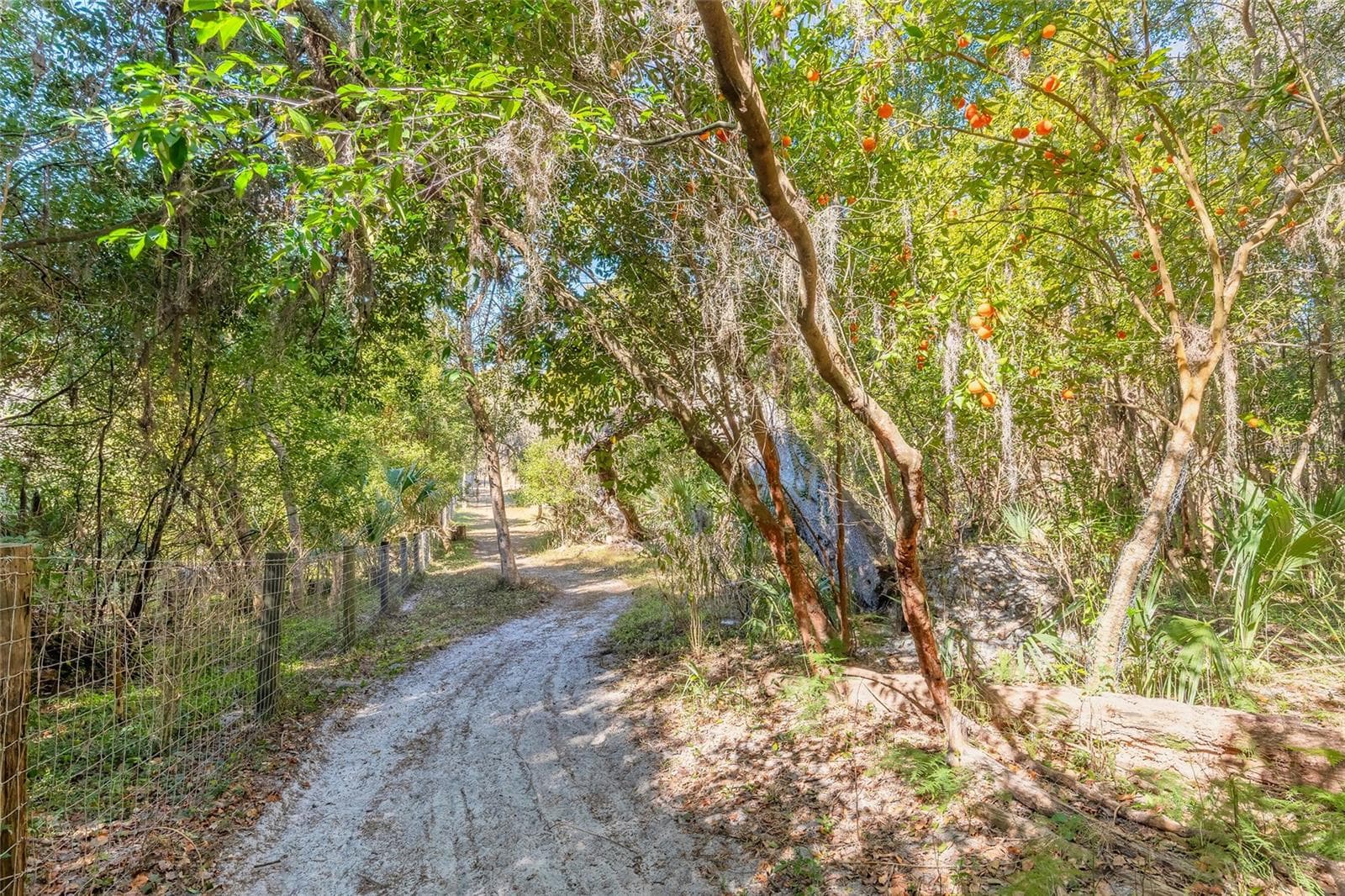Land at 2095 STONE RD, DELAND, photo 11 of 35