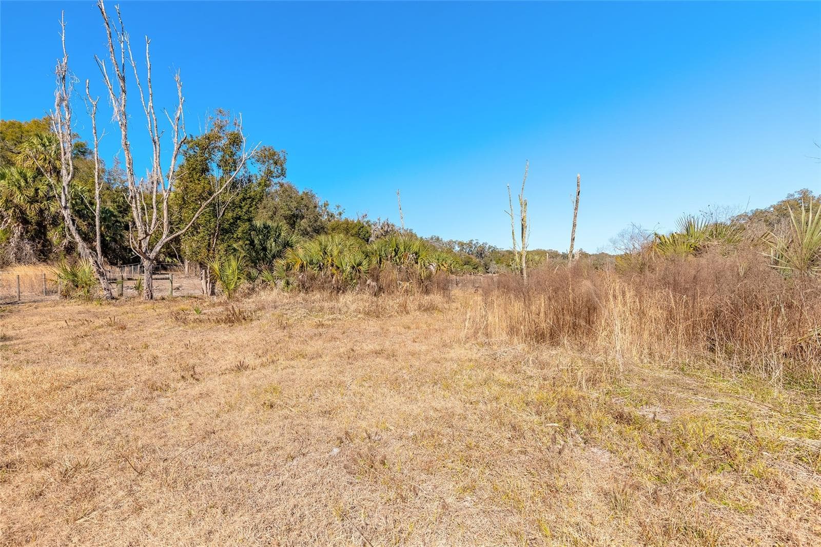 Land at 2095 STONE RD, DELAND, photo 25 of 35
