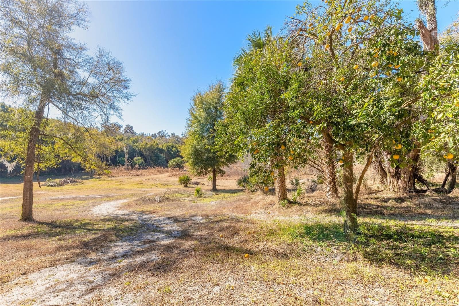 Land at 2095 STONE RD, DELAND, photo 12 of 35