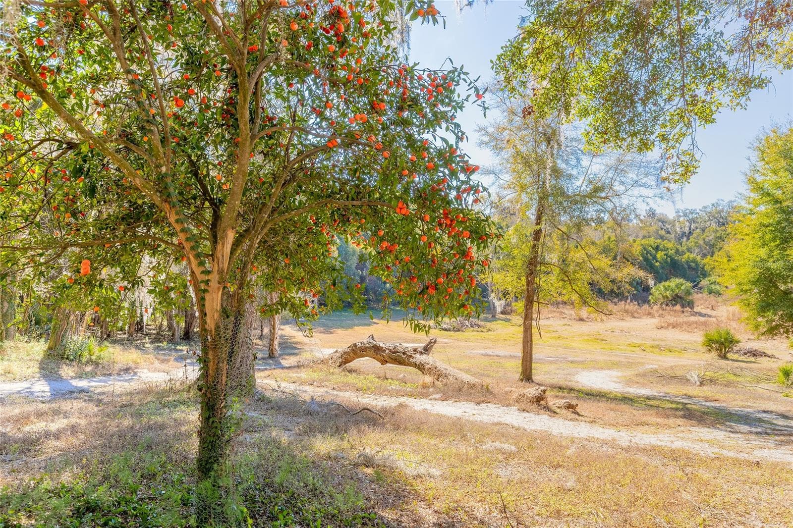 Land at 2095 STONE RD, DELAND, photo 13 of 35