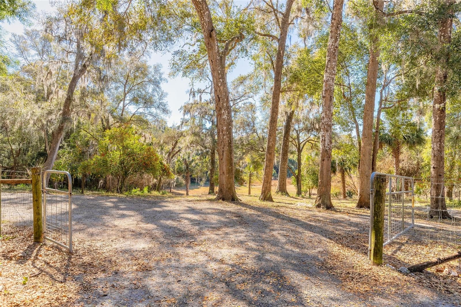 Land at 2095 STONE RD, DELAND, photo 19 of 35