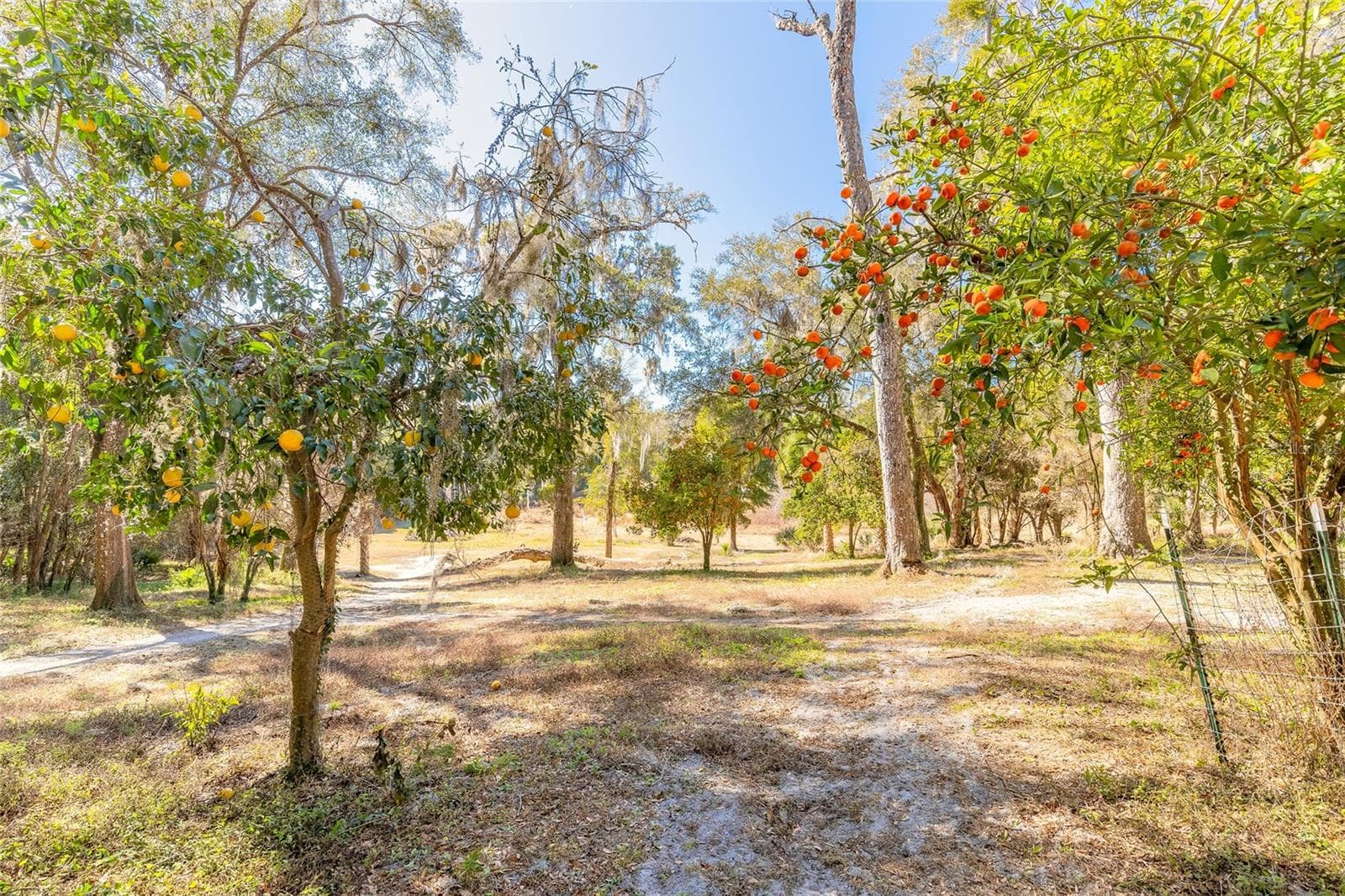 Land at 2095 STONE RD, DELAND, photo 2 of 35