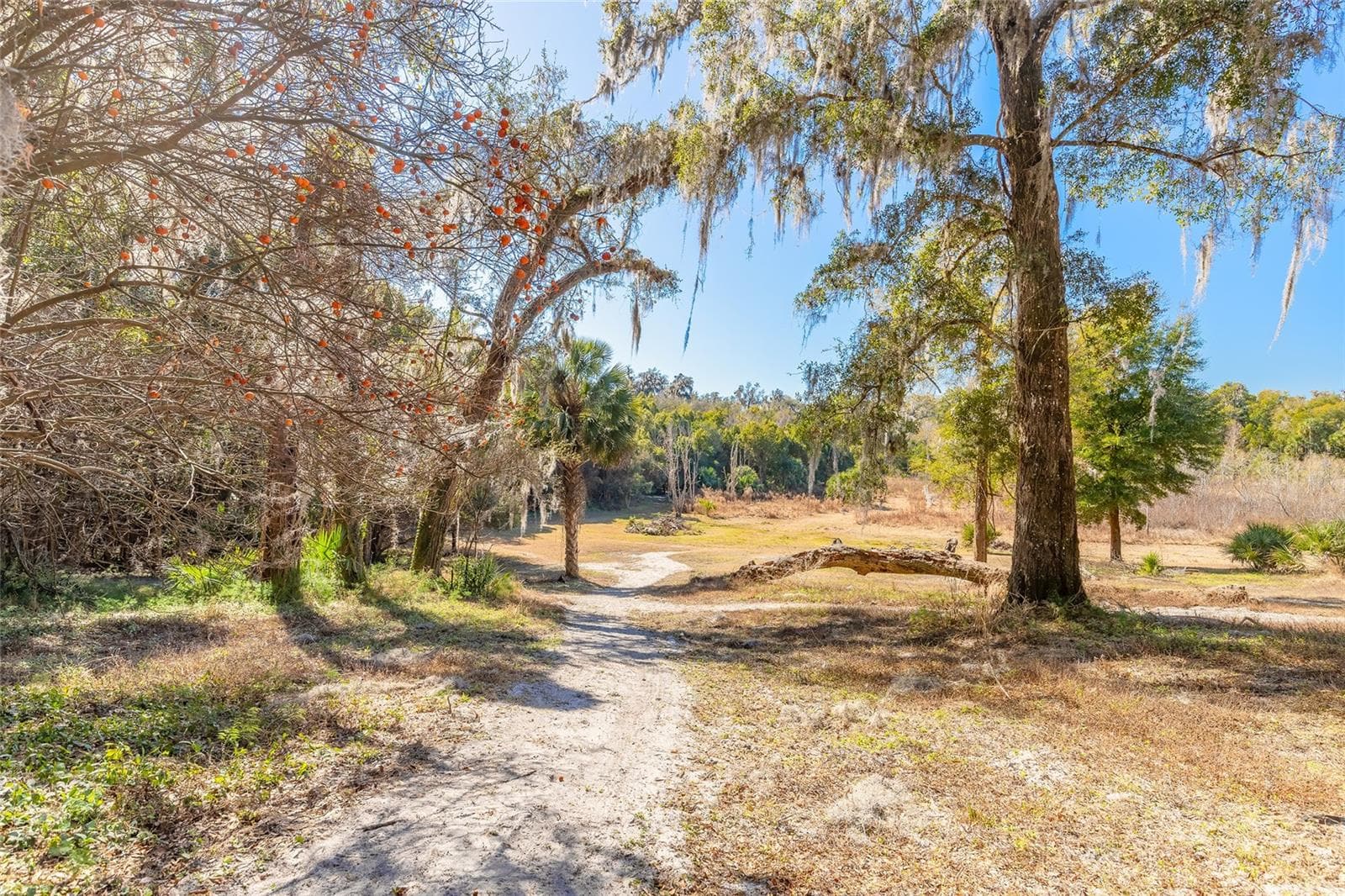 Land at 2095 STONE RD, DELAND, photo 15 of 35